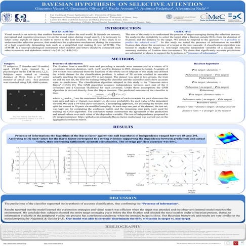 Bayesain Hypothesis of Selective Attention - Raw 2011 poster