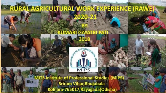 Presentation on RAWE and agro-industrial attachment program 2022 | PPT