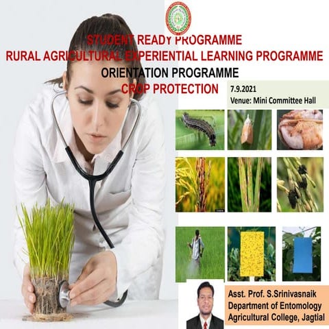LP in Grade 11B-Agricrop Production 2 2ND QUARTER.docx