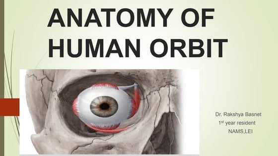 Anatomy of orbital cavity | PPT