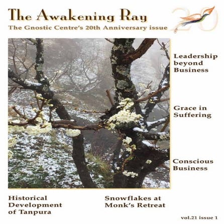 The Awakening Ray (2017 Jan)