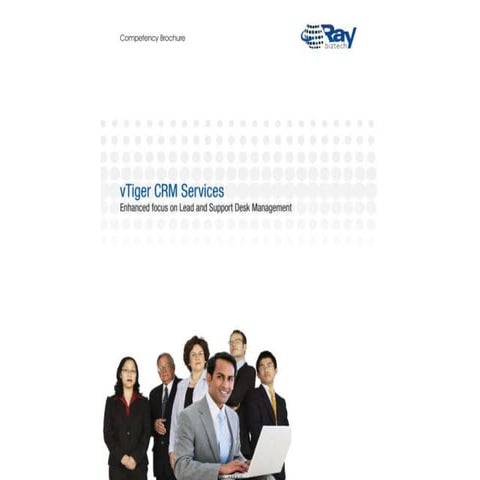 Raybiztech V Tiger Competency