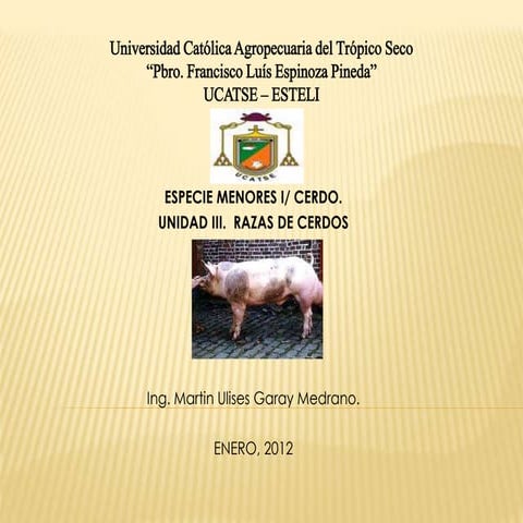 Razas de-cerdos