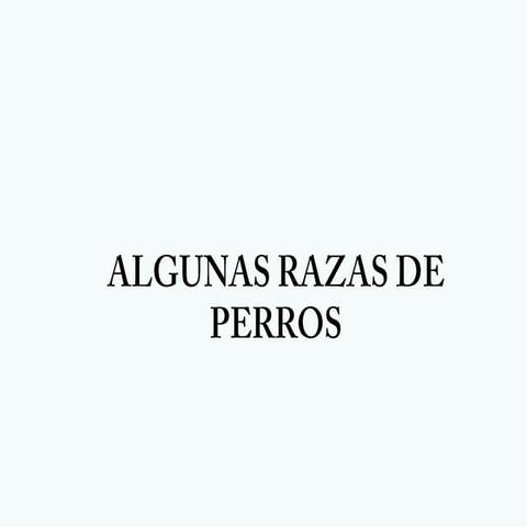 Razas 