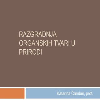 Razgradnja organskih tvari u prirodi
