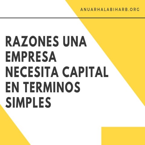Razones Una Empresa Necesita Capital en Términos Simples