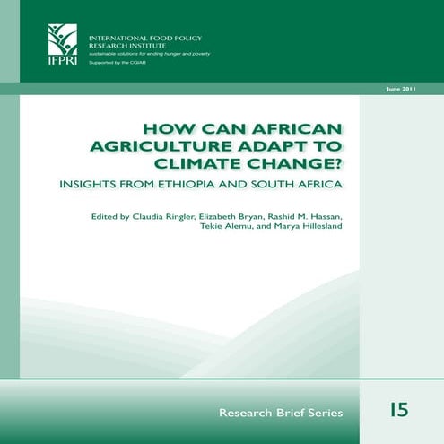 IFPRI Briefs
