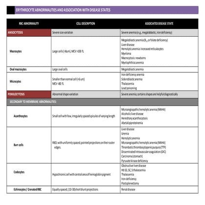 RBC Abnormalities