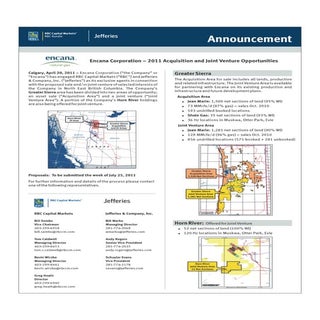 Rbc capital markets marketing flyer
