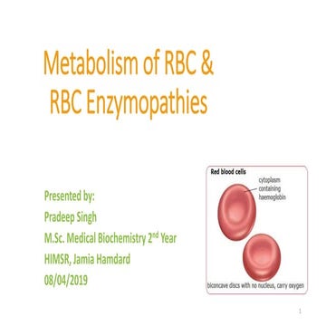 Metabolism of RBC and RBC Enzymopathies