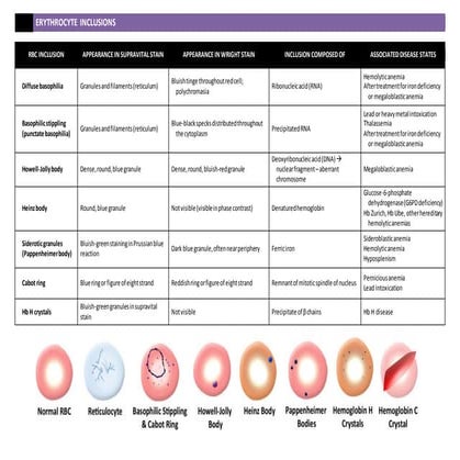 RBC Inclusions