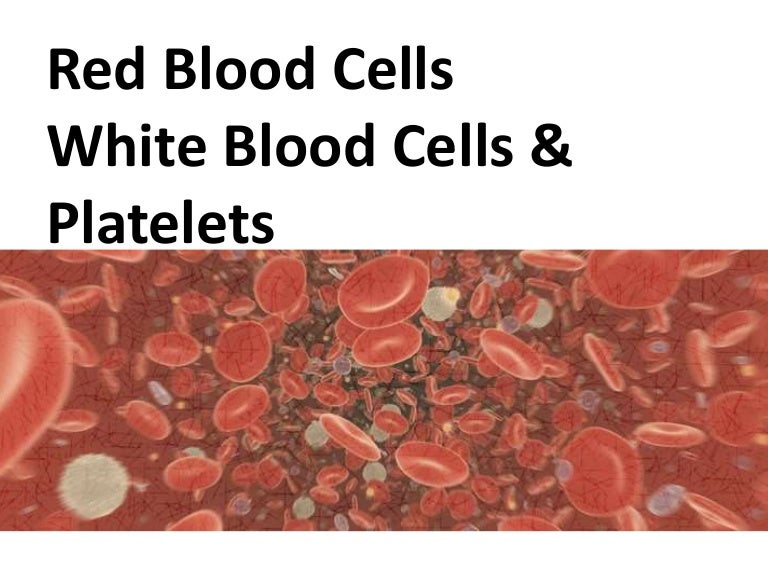red blood cells; White blood cells & platelets