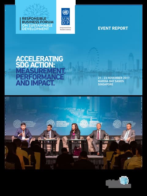 RBF Singapore 2017 - Outcome Report