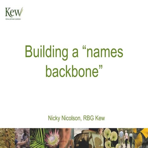 Building a names backbone