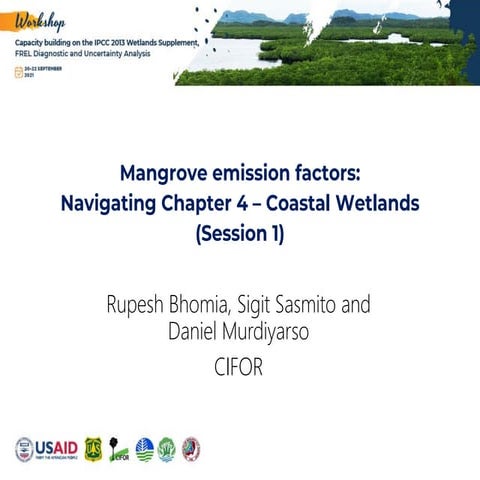 Mangrove emission factors: Navigating chapter 4-Coastal wetlands 