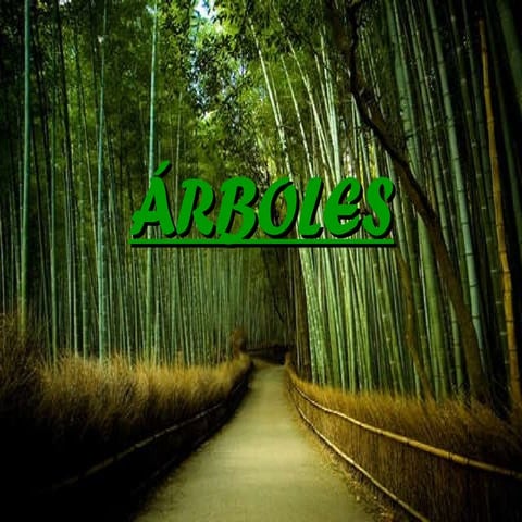 Árboles