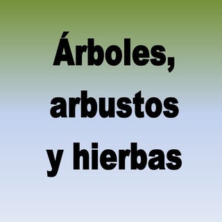 Árboles, arbustos y hierbas