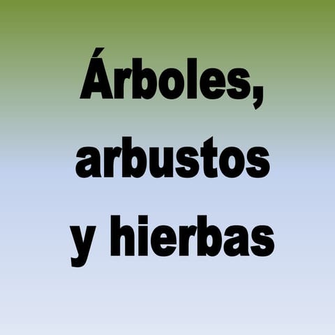 Árboles, arbustos y hierbas