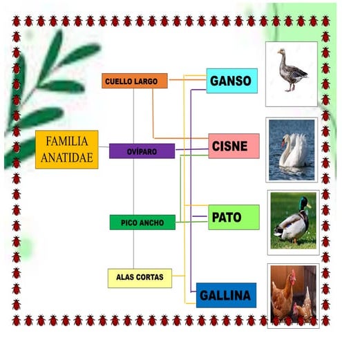 Árboles Filogenéticos.pdf