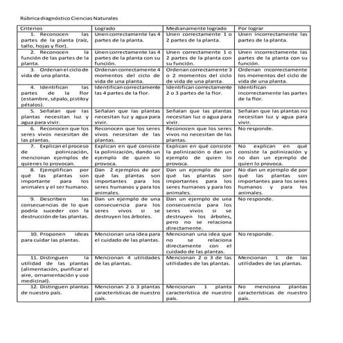 Rúbrica diagnóstico ciencias naturales