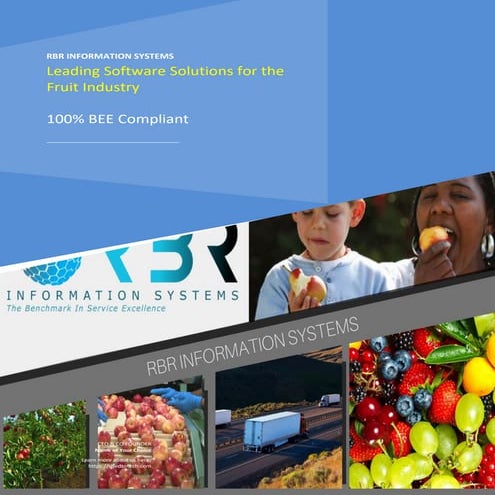 RRR Information Systems overview november 2020 | PDF