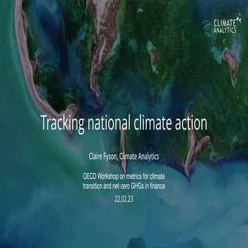 Workshop on Metrics for Climate Transition - PPT Claire Fyson | PDF