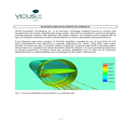 CFD modelling hydraulics