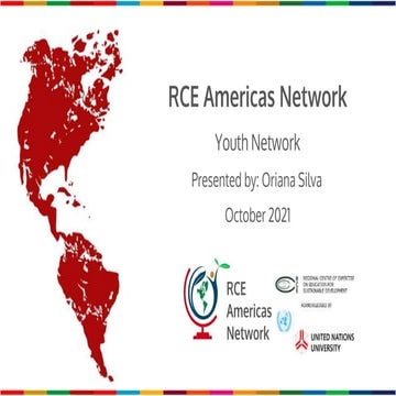 Experiences with the RCE Americas Youth Network
