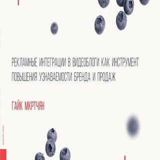 Рекламные интеграции в видеоблоги [...