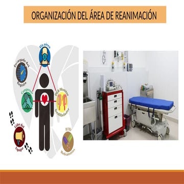 REANIMACION CARDIO PULMOMAR  ACTUALIZACION ACLS 2024