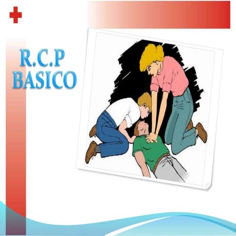 rcp Rcpbasico