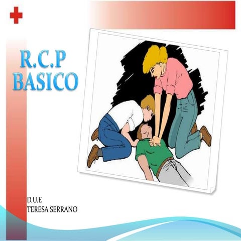 Rcp  Basico