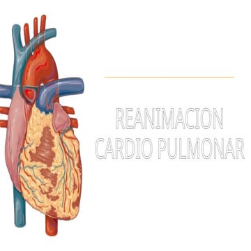 RCP BASICO Y AVANZADO para peersonal de salud