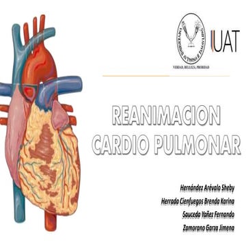 rcpbasicoyrcpavanzado-201024192925.pptx