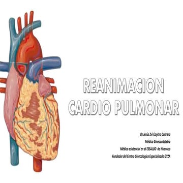 rcpbasicoyrcpavanzado-201024192925.pptx