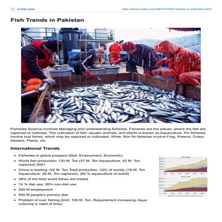Fish Trends in Pakistan (RCVetS.com)
