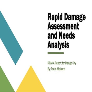 Rapid Damage Assessment and Needs Analysis Report.pptx