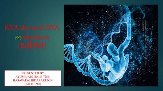 Sequencing based approaches for profiling dna methylation | PPT