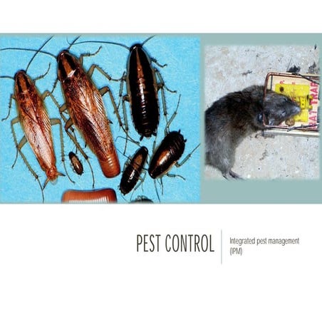 Pest Control