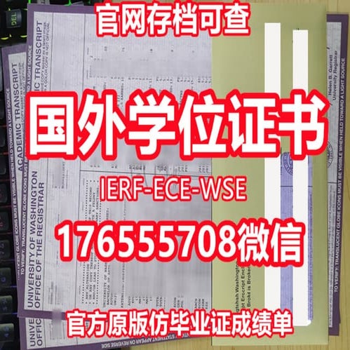 USF毕业证 | PDF