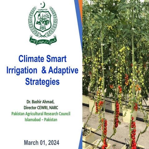 Responsive Drip Irrigation-Pakistan Trials.pptx