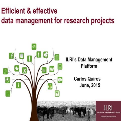 Efficient & effective  data management for research projects : ILRI's Data Ma...