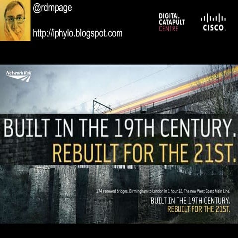 Cisco Digital Catapult