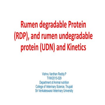 Rdp,udn and kinetics