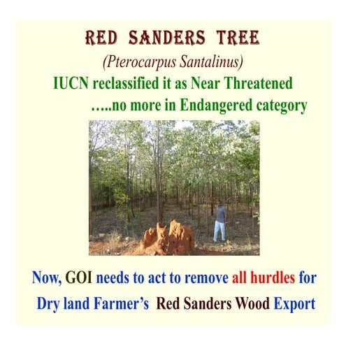 pterocarpus santalinus (RED SANDERS) THE ENDANGERED TREE | PPTX