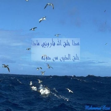 Basic concepts in neonatal ventilation - Safe ventilation of neonate