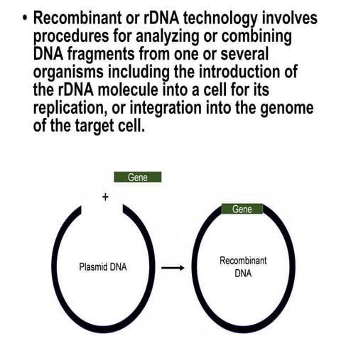 RECOMBINANT DNA TECHNOLOGY (Rdt) (RDT) [RDT] | PDF