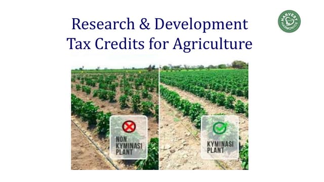 R&D Tax Credits | PDF