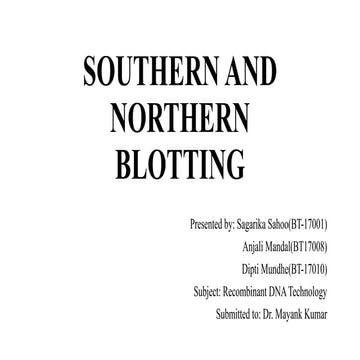 Southern & Northern blot