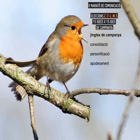 II Marató de Comunicació: Jingles de Campanya